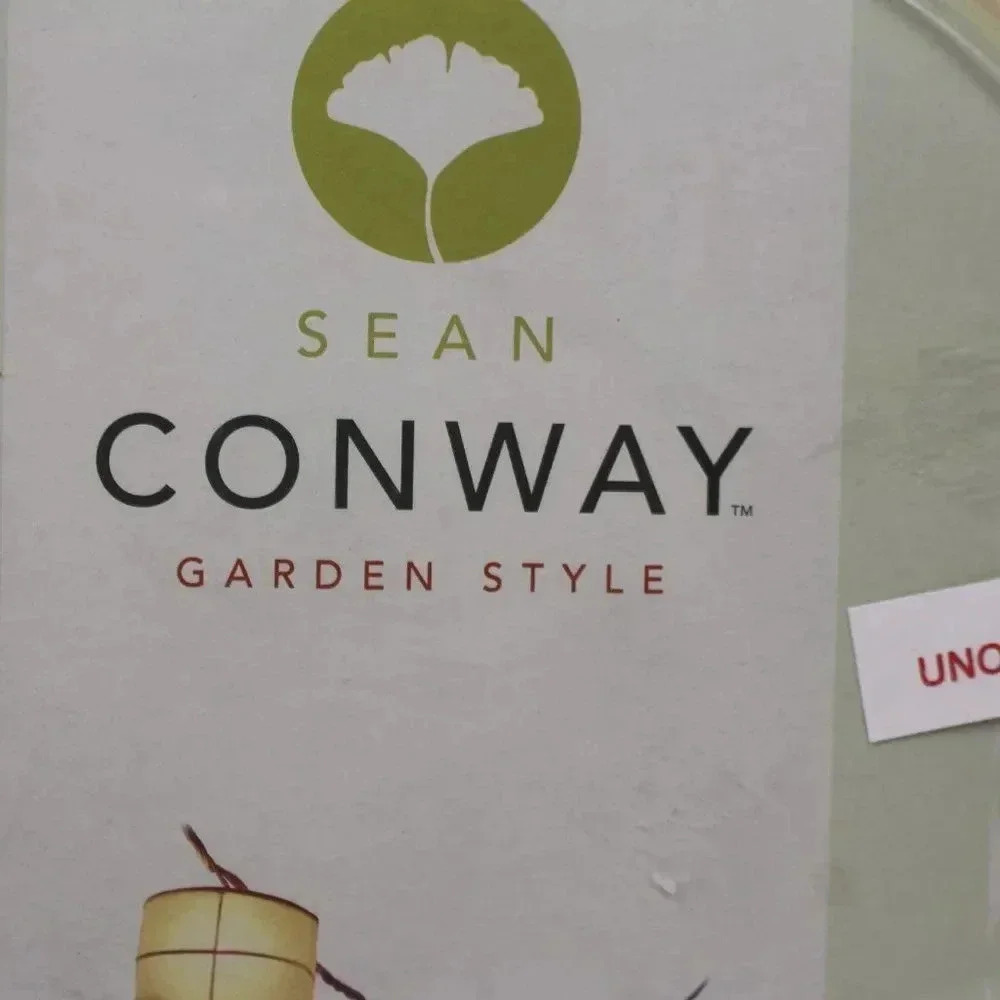 Sean CONWAY STRING LIGHTS - Picture 3 of 7